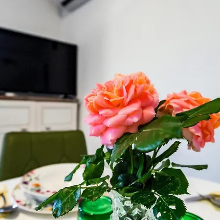 Apartament Stone House On The Batalaza - *